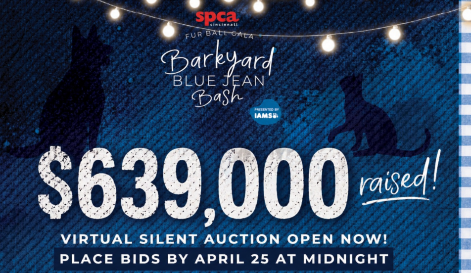 Fur Ball Gala Silent Auction 